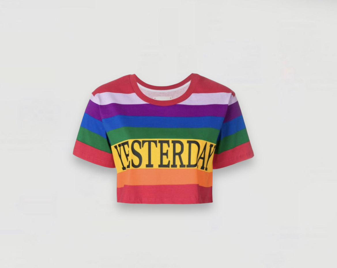 First, a front view of the Alberta Ferretti Striped Cropped T-shirt showcases its vibrant multicolour design.