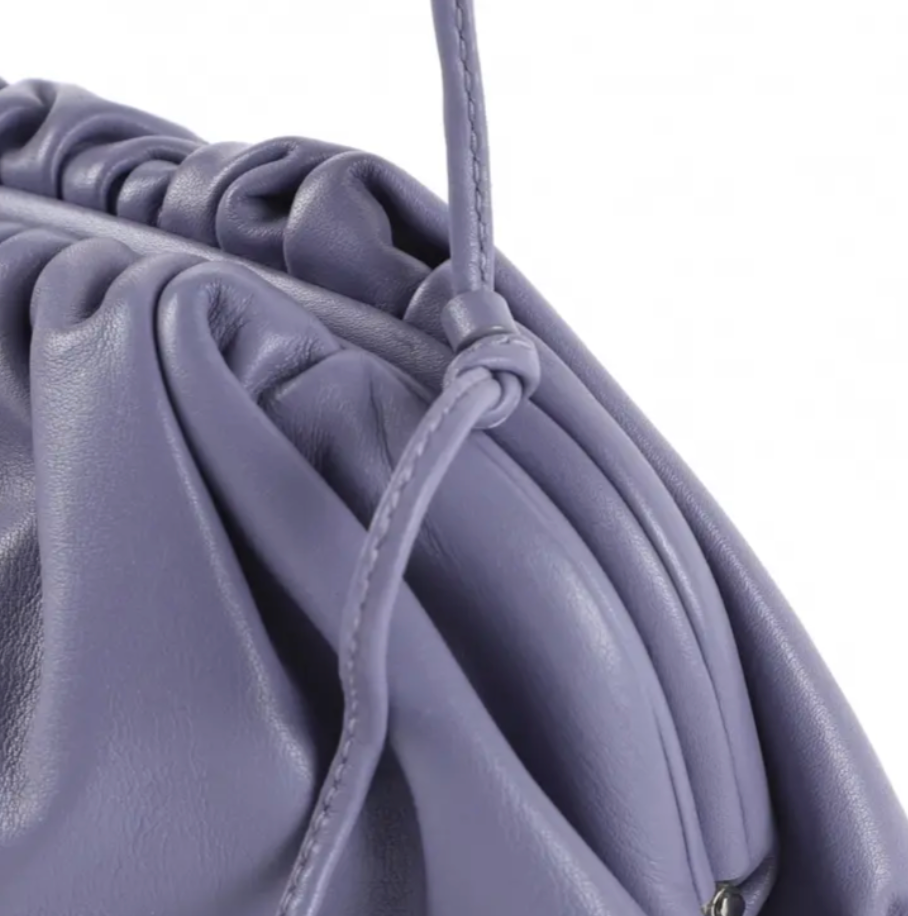 Woman holding Bottega Veneta Purple Leather Pouch in hand
